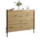 Комод с 4 ящиками LION Wood с черными ножками 100х90х45 см Дуб Артизан (LION-042978) LION-042978 фото 2